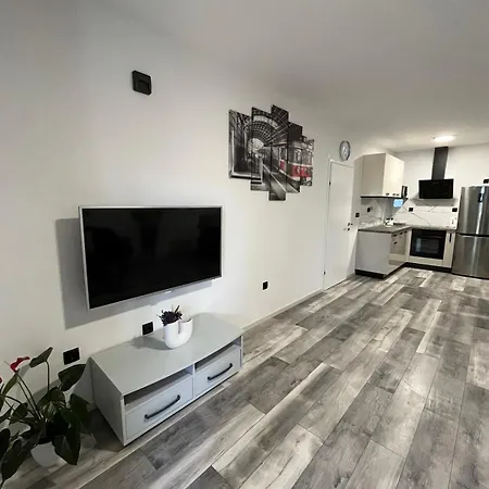 Apartment Anticato