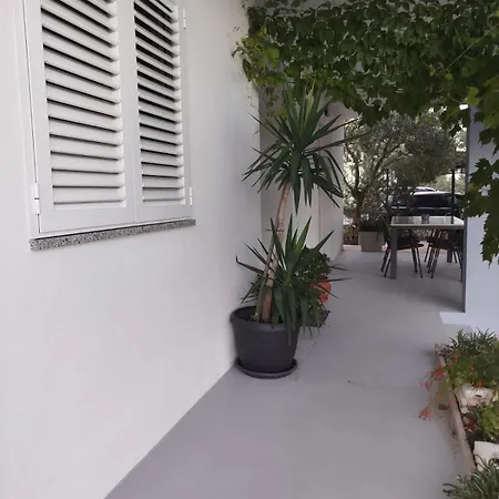 Anticato * Makarská